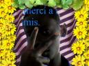 khadim